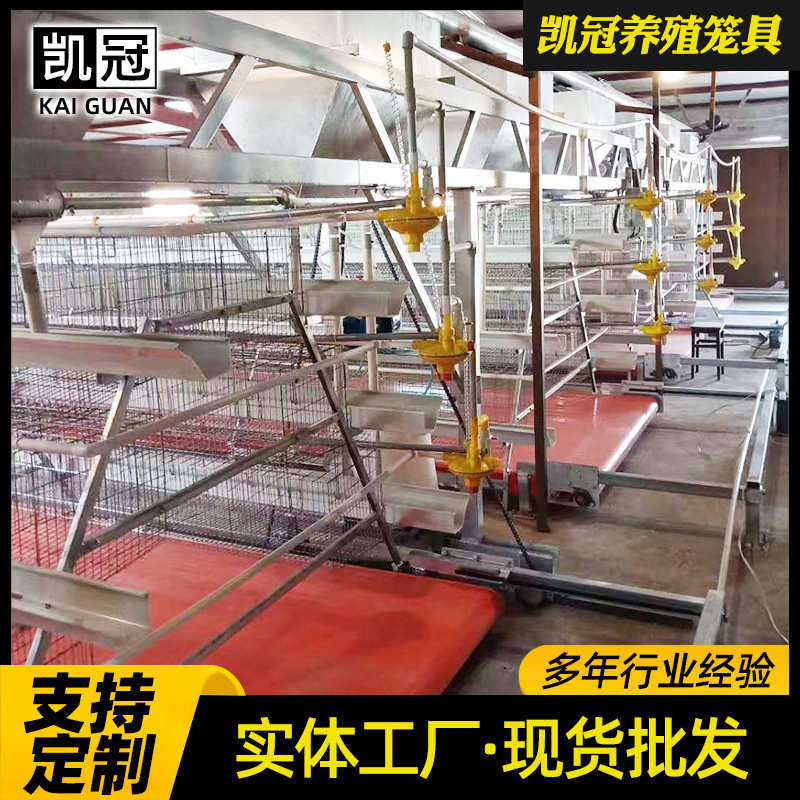 笼子阶梯式全自动组合三层蛋鸡蛋鸡笼立体全套笼子阶梯式蛋鸡养殖