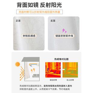 镜面纱窗帘纱帘透光不透人卧室阳台客厅遮阳隔热防晒白色窗纱新品