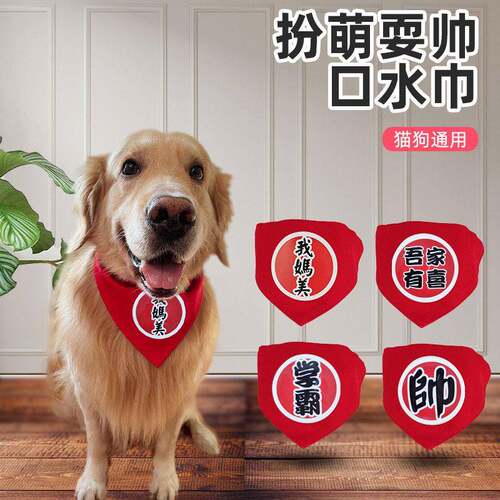 宠物三角口水巾印花项圈领巾带猫咪双面文字狗狗围脖狗猫脖圈红色