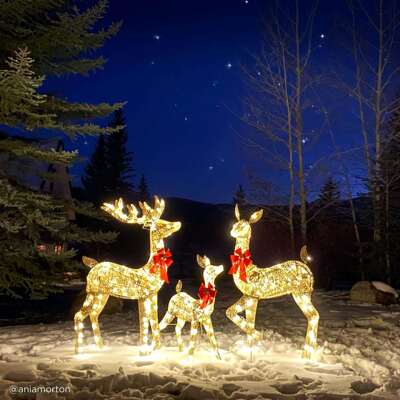 三只麋鹿拉雪橇家庭组商场橱窗圣诞装饰品摆件Deer pulled sled