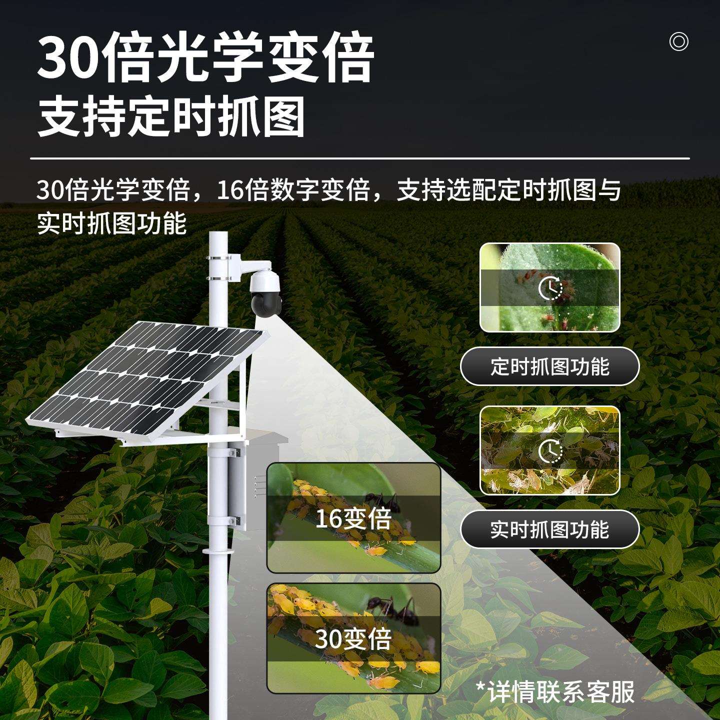 苗情监测站大田林土壤墒情虫情预警植物生长智慧农业四情气象站