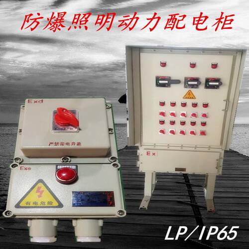 IiIB4防爆配力电箱p54防008护等级防爆照明动配电箱T厂家定制