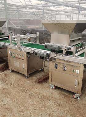 全自动漂盘育苗机 光电感应检测系统育苗播种机 穴盘播种育苗设备