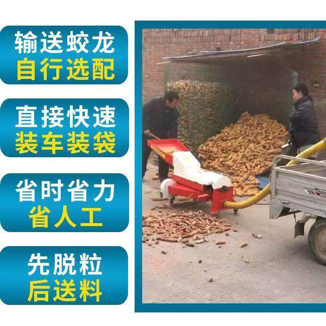 新款玉米脱粒机蛟龙输送式剥玉米机家用小型全自动苞谷分离机220V图片