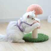 猫咪牵引绳防挣脱外出用遛猫绳猫咪胸背带 可调节猫绳子牵引幼猫