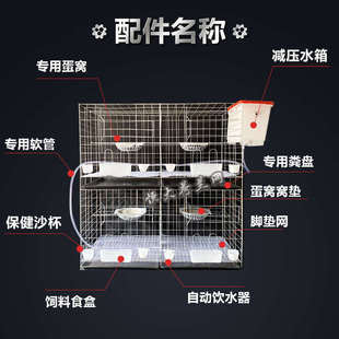 宝专用笼子鸽笼 鸽子笼家用大号养殖笼繁殖笼配对笼巢箱鸽舍鸽棚元