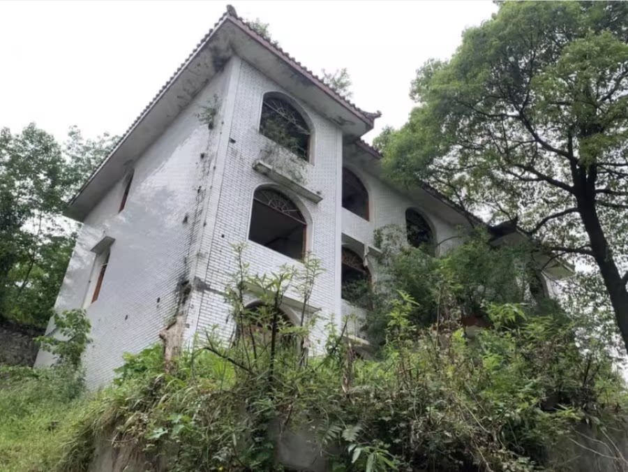 3月16日成都房地产公司名下土地使用权及其地上建筑物网络拍卖公告