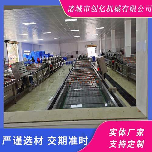 果蔬清洗设备蔬菜水果清洗风干成套设备不锈钢沙棘气泡清洗机