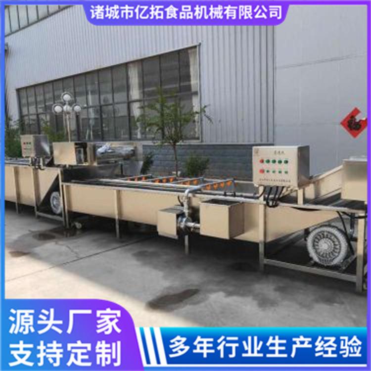 水果蔬菜气泡冲浪清洗机高压喷淋清洗设备食堂净菜加工流水线设备