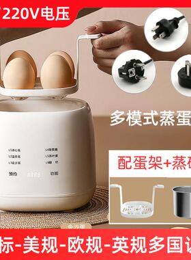 110V220V煮蛋器美英规台湾用迷你多功能蒸蛋器香港家用小型早餐机