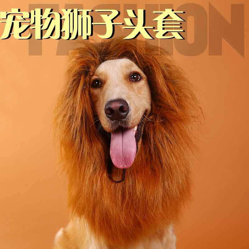 宠物用品直销 宠物假发搞笑狮子头套帽子 狗狗假发宠物用品