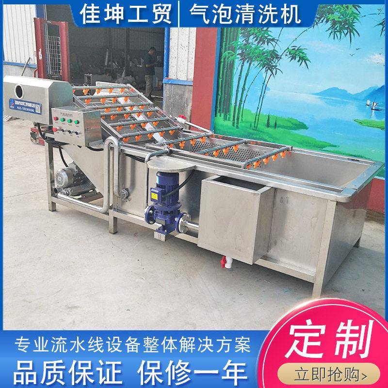 银耳气泡清洗机 油麦菜叶类蔬菜清洗机 果蔬清洗设备 清洗流水线