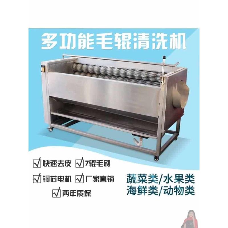 快速清洗姜芋头不锈钢毛刷多功能全自动电动脱皮机土豆去皮机商用