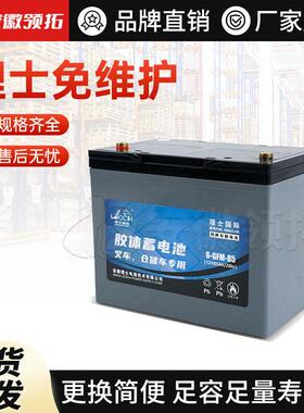叉车配件电池免维护(12V/85AH)6-GFM-85(259*168*208/214)