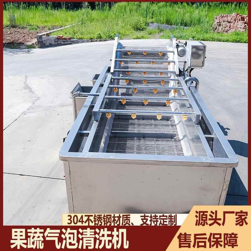 果蔬气泡清洗机粽叶桑葚蓝莓去农残清洗设备商用叶类蔬菜洗菜机