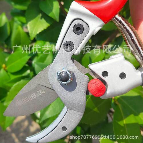 佐川828省力修林枝剪田进口品手剪果树粗质枝剪园RAZ艺修花剪园修