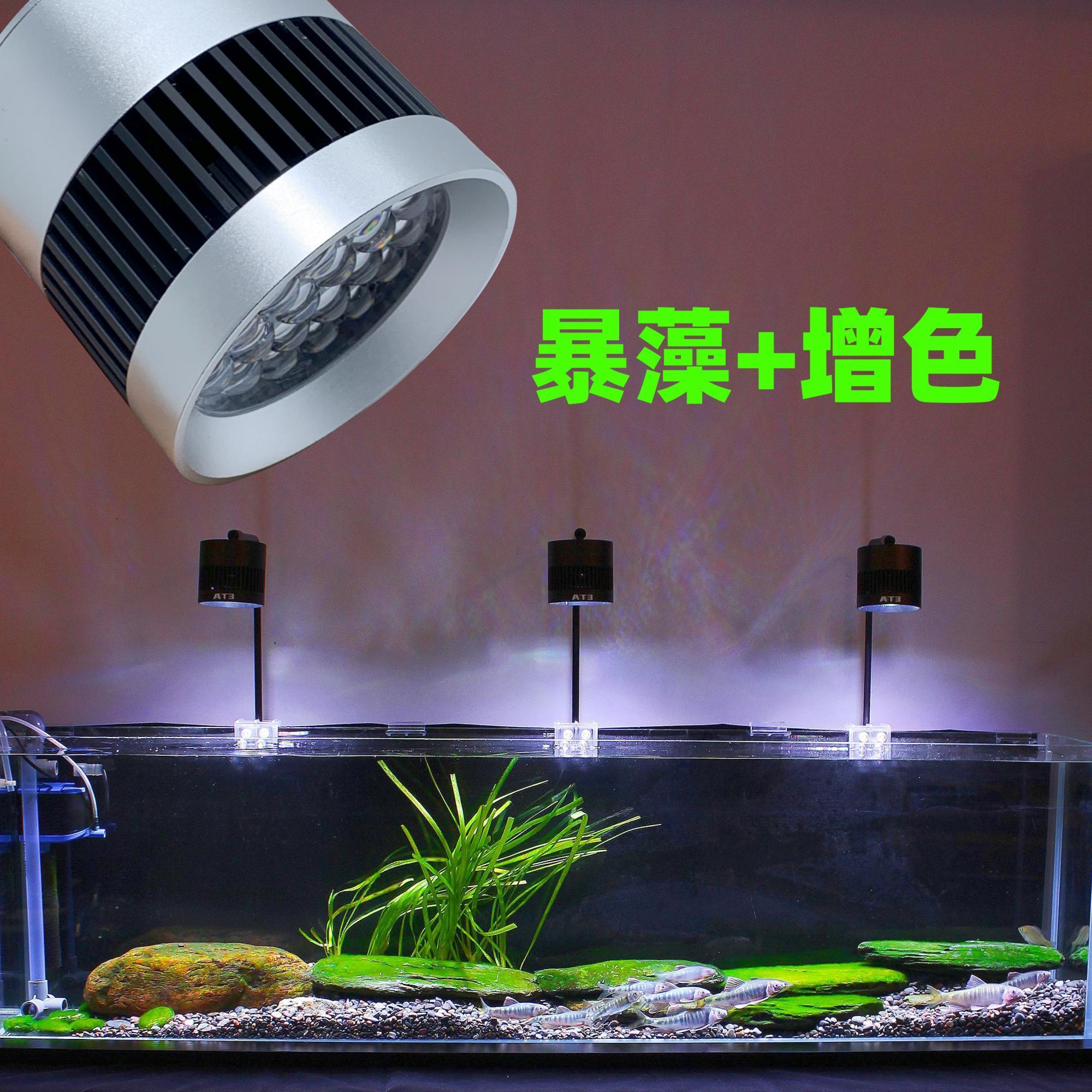原生缸溪流缸全光谱暴藻灯出绿苔绿藻短绒藻青苔灯增色鱼缸射灯