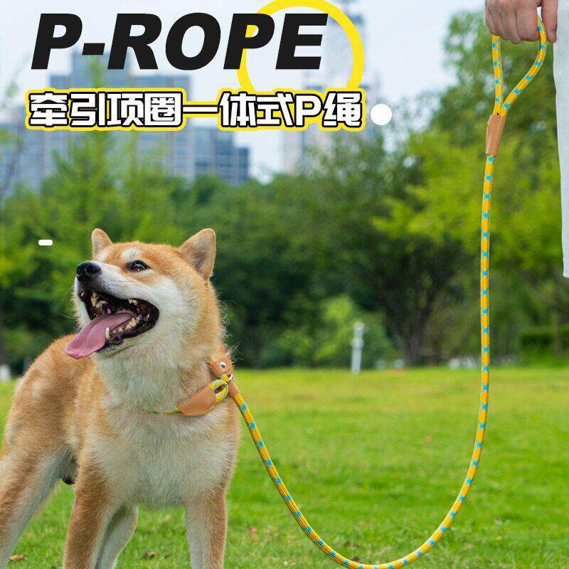 新品狗狗密度尼龙牵引绳中大型犬通用项圈遛狗P链绳子宠物用品