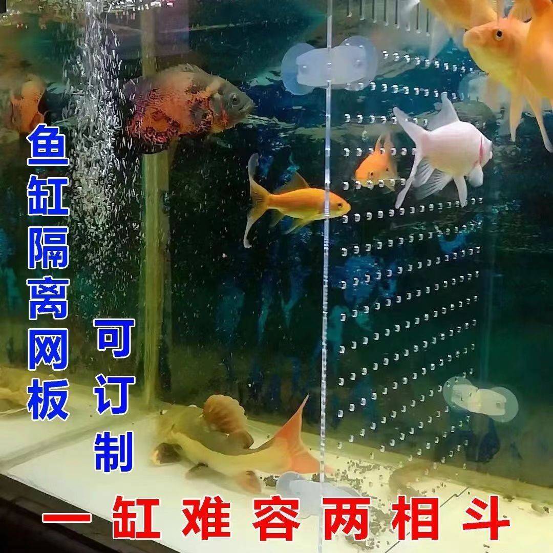 鱼缸隔离板亚克力挡板挡鱼分离网隔断隔离网隔板分离板透明水族箱
