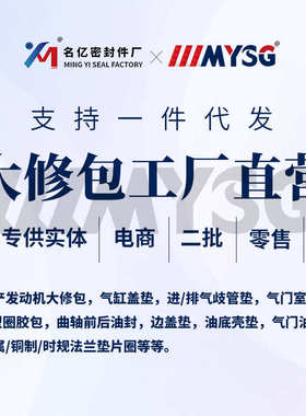 适用Thermo King轴向后油封TK486曲后油封10-33-2974 BZ5486E密封