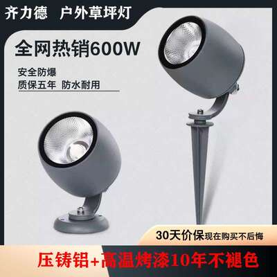 齐力德户外草坪灯COB射灯10W20W30W防水庭院插地照树灯植物草地灯