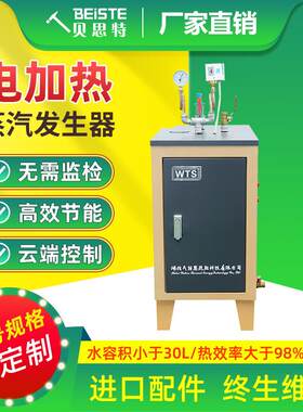 蒸汽发生器厂家直销服装整烫食品厂化工厂用防爆电加热全自动化