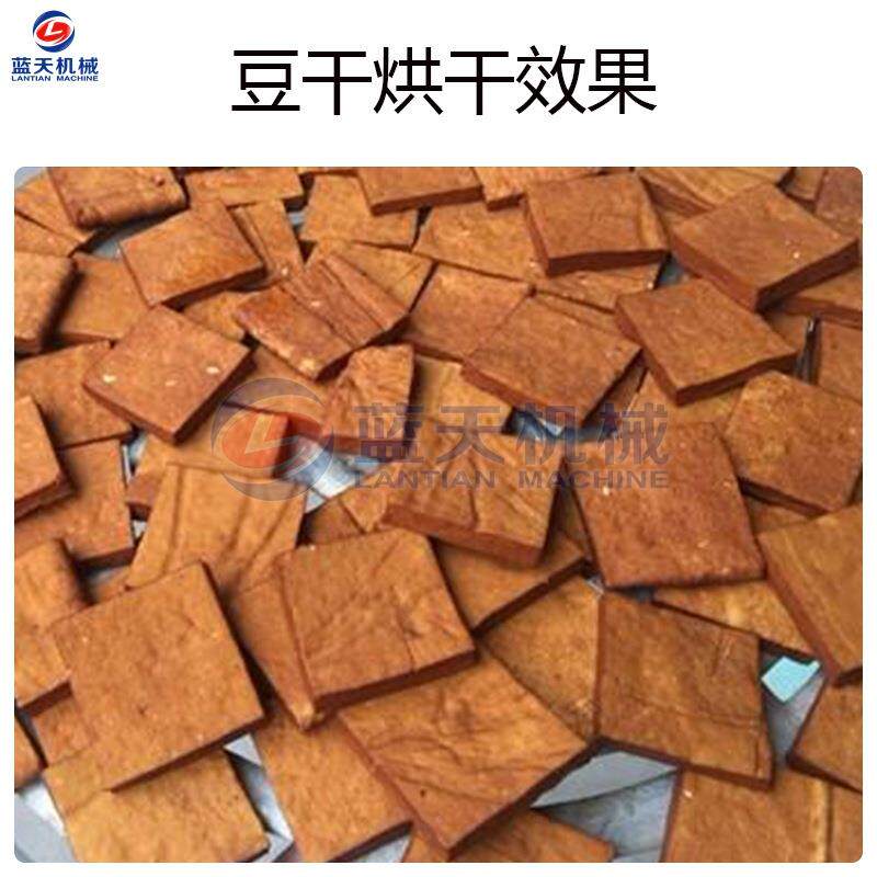大型干干烘干机 豆腐干五空香豆干烘LT-DGHGJ设备 气能白干豆豆制