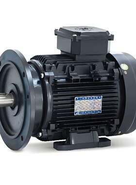 风冷永磁同步分体机电机 功率:5.5kW-400kW服务系数:SF=1.2/1.3