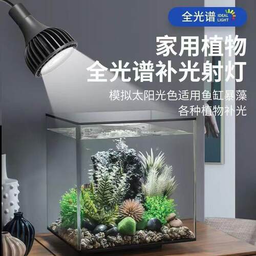 全光谱植物生长灯泡绿植补光灯小西红柿补光植物灯par30帕灯果蔬