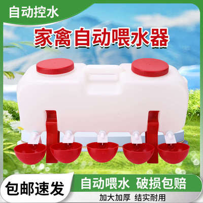 养鸡用自动饮水器小鸡鸽子自动喂水喝水碗养殖鸡鸭鹅喂水器水壶桶