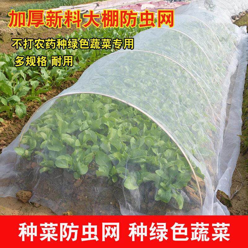 防虫网种菜专用网罩尼龙网防苍蝇菜地蔬菜防鸟罩幼苗大棚防护网纱