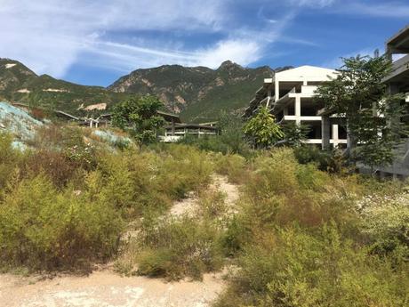 张山营镇西羊坊村的土地及在建工程