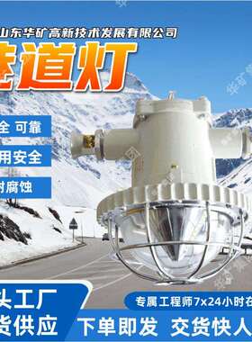 经久耐用LED巷道灯操作简单DJS36/127L(W)矿用隔爆LED巷道灯