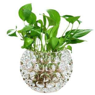 厂家绿萝花瓶豫圆形婷花器透明玻璃花盆瓶水养植物水培器皿创意铜