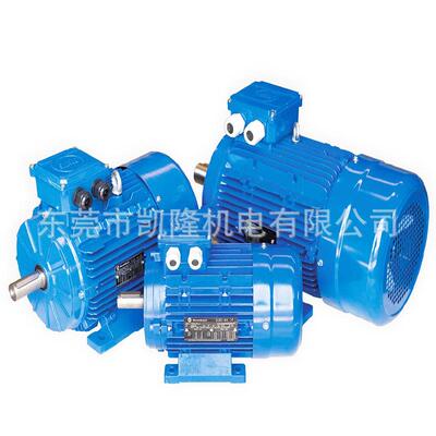 MarelliMotori电机MAA90L4