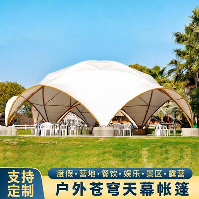 户外大型穹顶天幕展览帐篷露营团建活动餐饮定制天穹帐篷工厂
