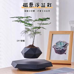 磁浮盆栽办公室桌面摆件客厅装饰花盆送男女朋友黑科技生日礼物