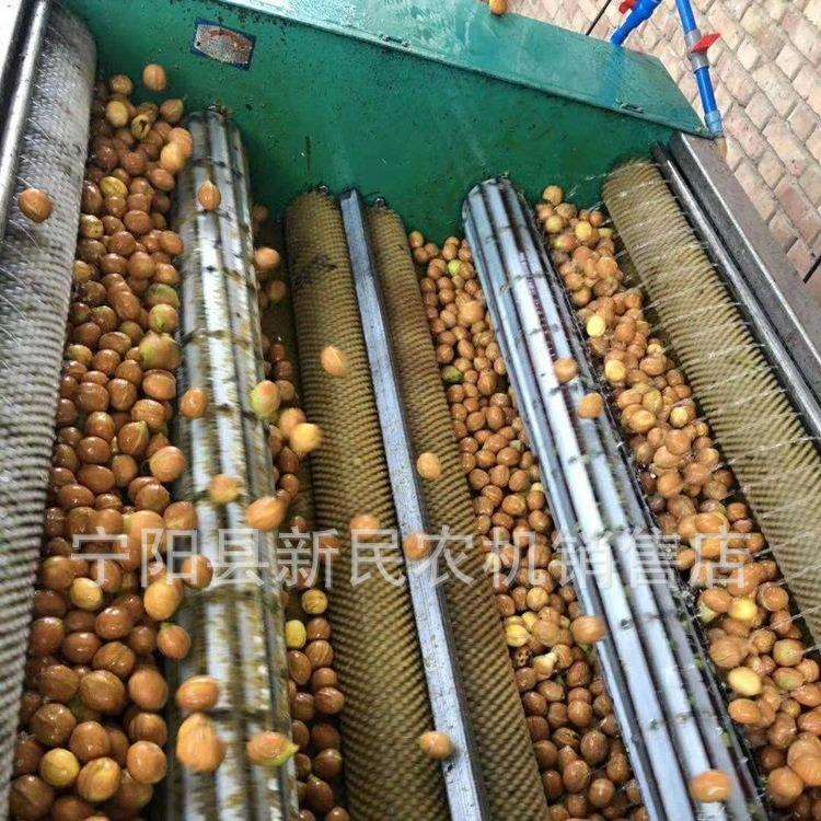 陕西渭南地区用核桃去皮清洗机青核桃去皮机单相电三相电去皮机
