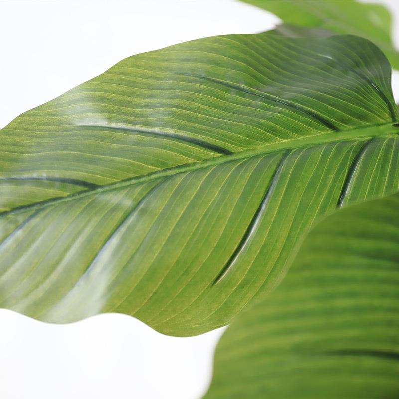 成套仿真绿植景观室内楼梯空间造景庭院橱窗仿生彩虹芋植物装饰