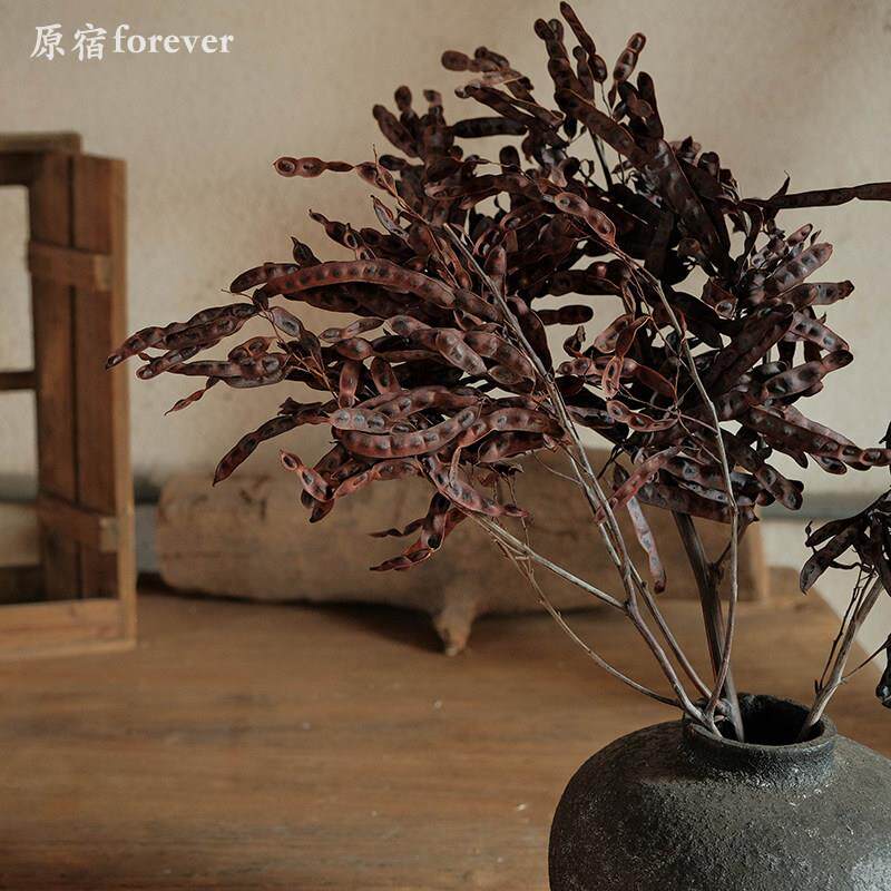 天然小豆荚干燥花诧寂风民宿装饰摆设插花搭配花束diy制作标本干