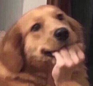 薇婷脱毛膏怎么样，是不是真永久？还是夸大其词？