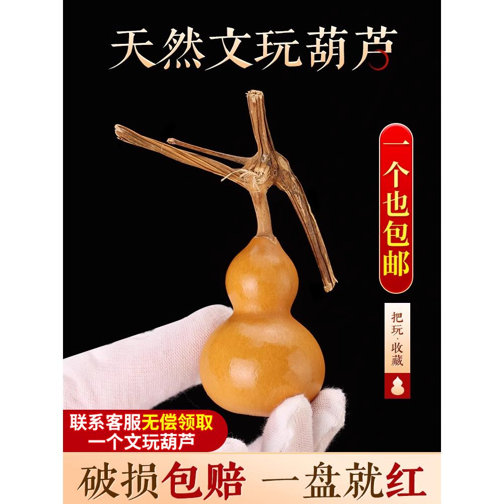 天然文玩葫芦手捻精品收藏紫皮真迷你胖墩龙头盘玩大小手把件挂件