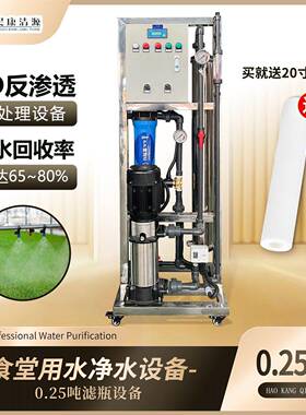小型食堂RO反渗透设备0.25吨反渗透设备0.5吨纯净水设备净化器