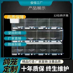 鴿子信鴿養(yǎng)殖籠大號加粗用品用具12位位養(yǎng)殖配對籠肉鴿繁殖籠子