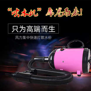 宠物吹水机大型犬狗狗吹风机大功率低噪音泰迪金毛狗狗吹毛2600w