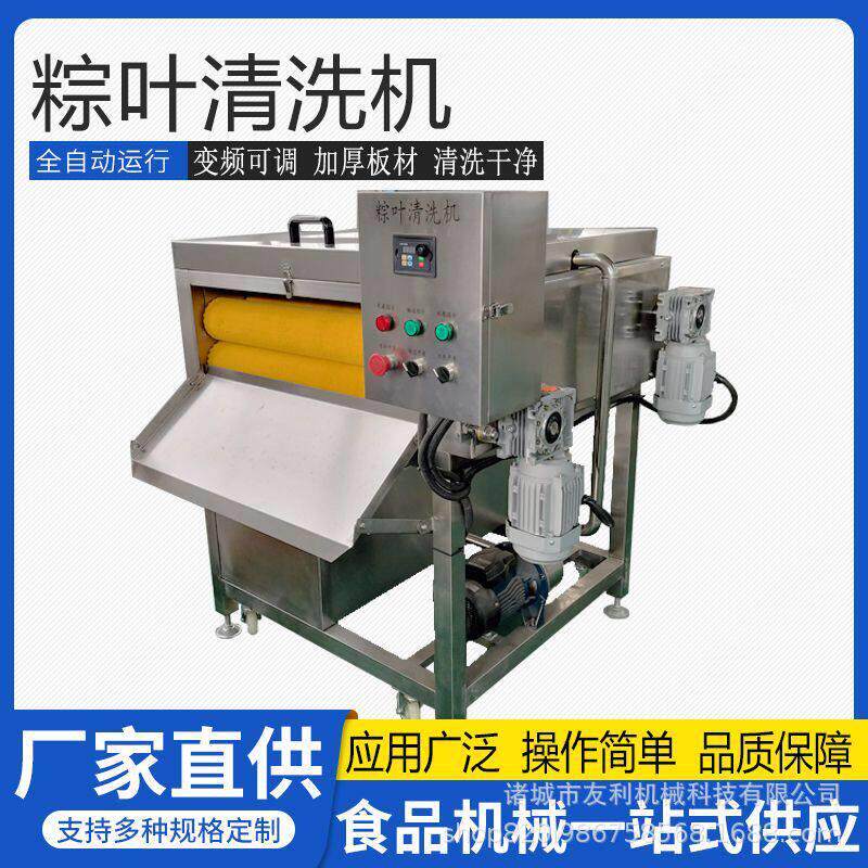 全自动粽叶清洗机芦苇叶草果叶刷洗设备糯米鸡荷叶洗叶子机器