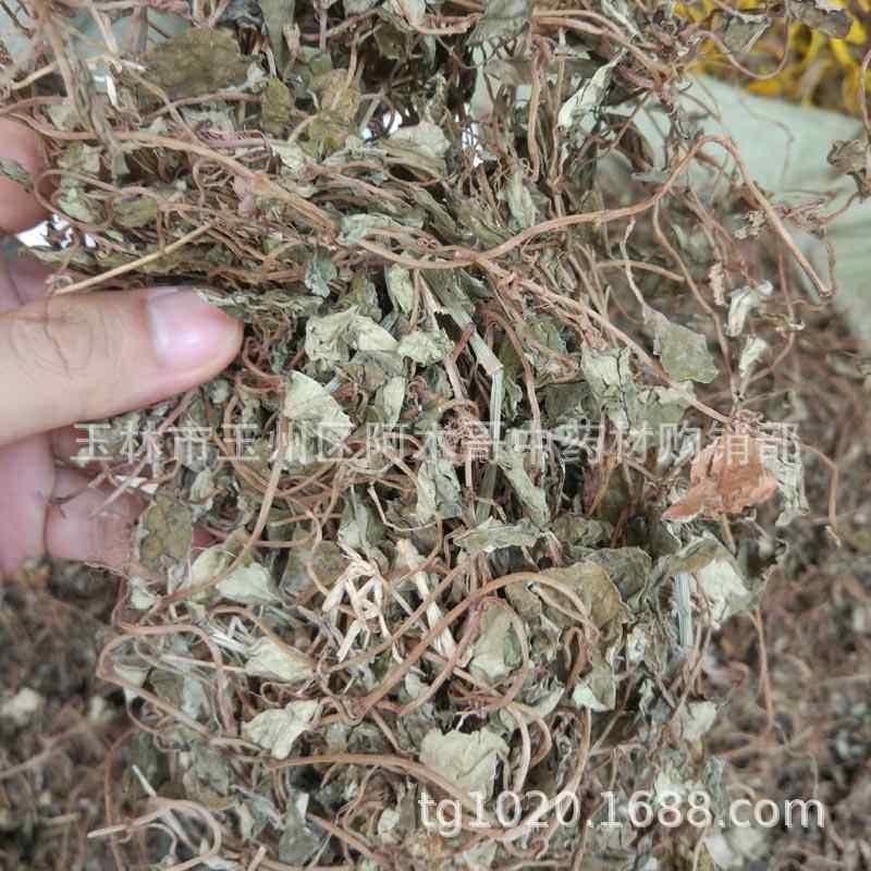 川金钱草 四川大叶金钱草 小叶金钱草 过路黄 干品,传统滋补营养品,其他药食同源食品,淘宝优惠券,粉丝福利购,淘宝优惠卷