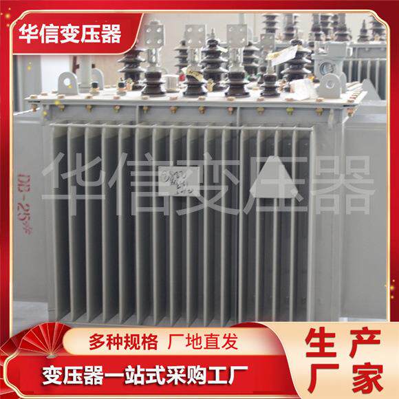 S20系列油浸式变压器1000KVA三相配电变压器NX2二级能效