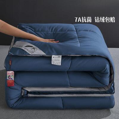 羽绒被5单秋白鹅绒羽毛被子加厂家直供厚保暖冬被春被9芯双人宿舍