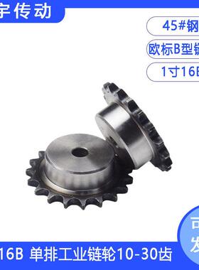 1寸16B-1链轮 B型单排工业链条齿轮16 17 18 19 20 21 22 23-30齿